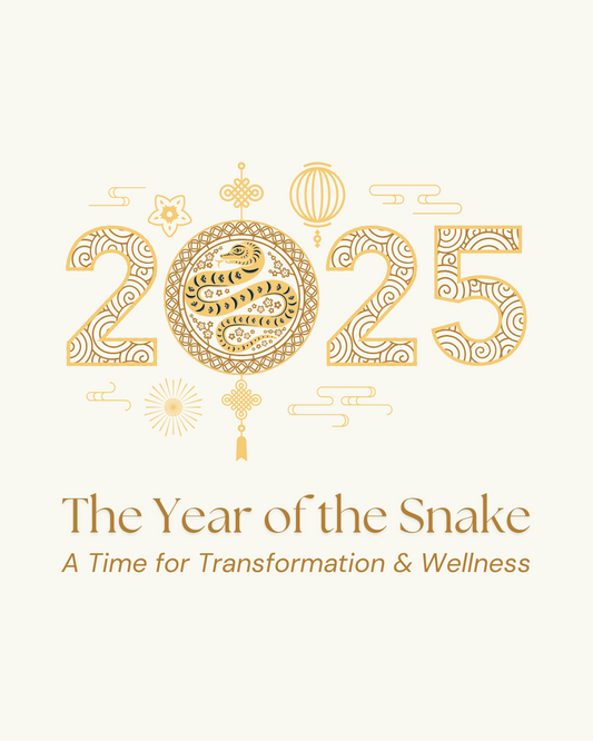 The Year of the Snake: A Time for Transformation & Wellness