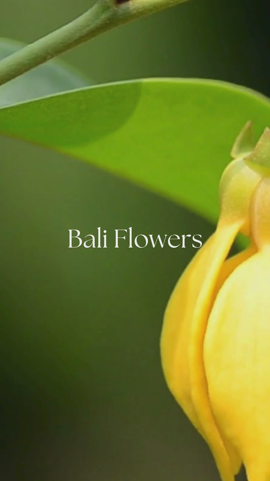 Close-up video of Bali Flowers oil fragrance notes, delicate florals creating a calming and uplifting scent