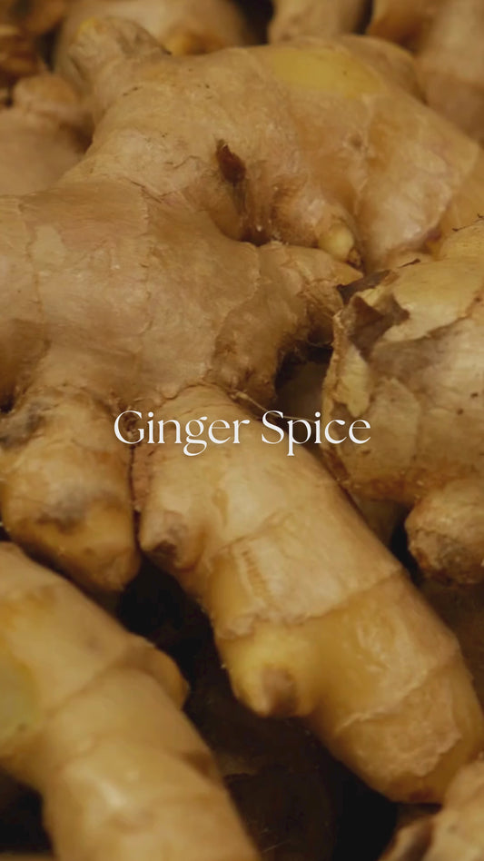Ginger Spice organic body oil fragrance notes video highlighting warm ginger, spice, and grounding botanical aromatics